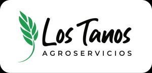 LOS TANOS